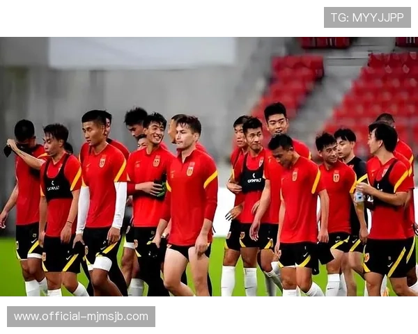 中国世界杯预选赛中国足球政策支持及青训体系建设对球队晋级的影响深度解析