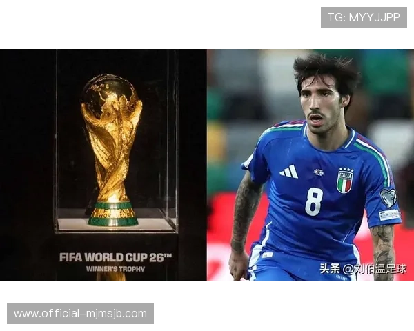 2026世界杯欧洲区附加赛比赛地点及观赛指南全方位介绍