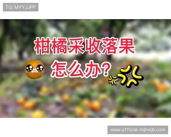 世界杯怎么买球官方的最新指南帮助你轻松掌握官方渠道购票流程详解 世界杯怎么买球官方的最新指南帮助你轻松掌握官方渠道购票流程详解